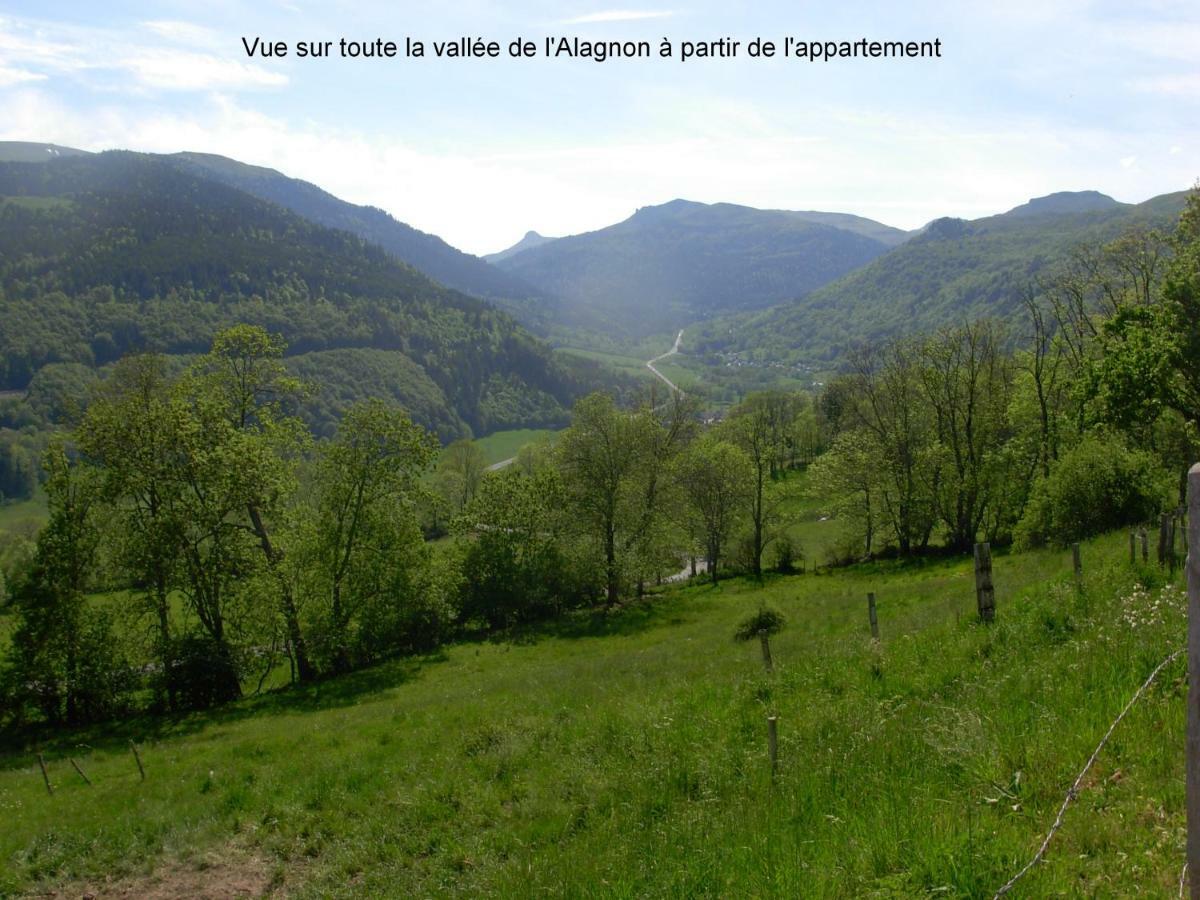 Appartement Au Pied Des Monts Du Cantal