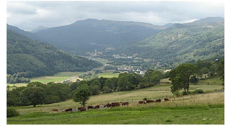 Au Pied Des Monts Du Cantal *