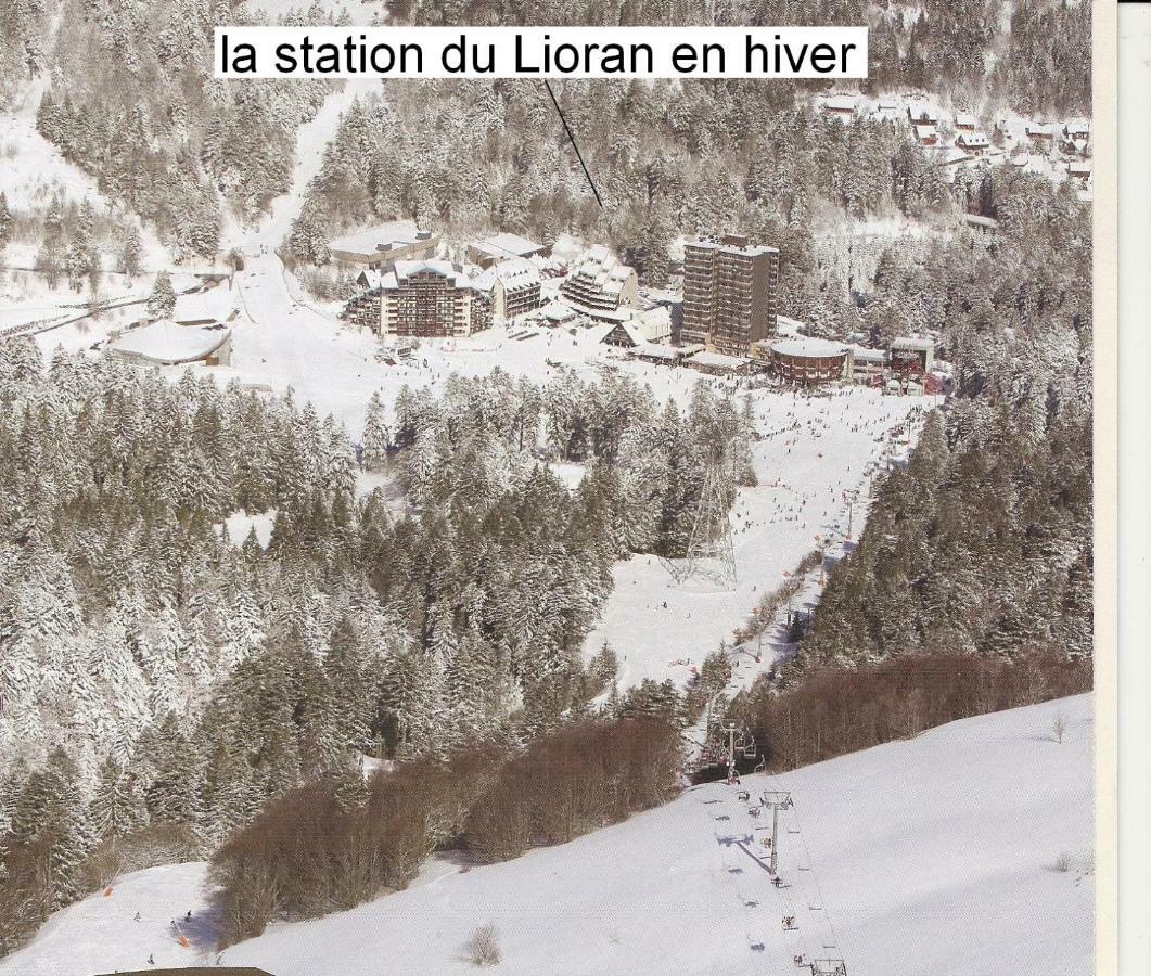 Au Pied Des Monts Du Cantal Laveissière