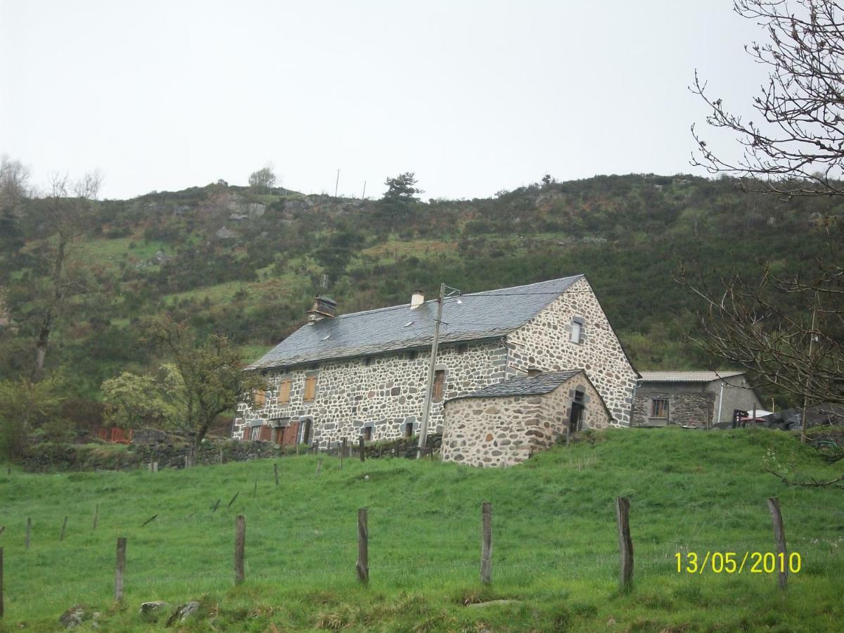 Au Pied Des Monts Du Cantal Appartement *