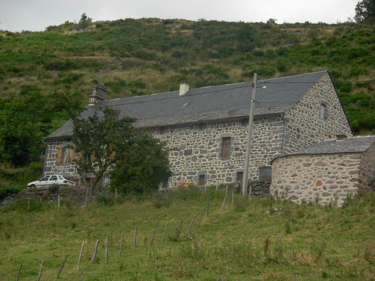 Au Pied Des Monts Du Cantal * Laveissière